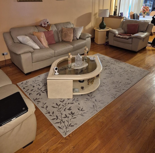 living room featuring wood-type flooring