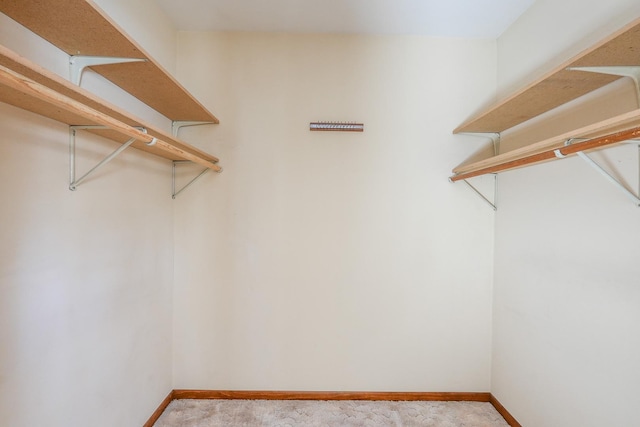 spacious closet with light carpet