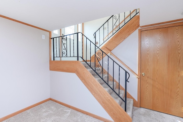 stairs featuring crown molding and carpet flooring