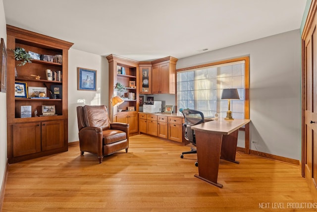 office featuring light hardwood / wood-style flooring