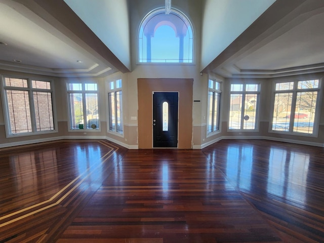 entrance foyer with dark wood-type flooring, plenty of natural light, and a tray ceiling