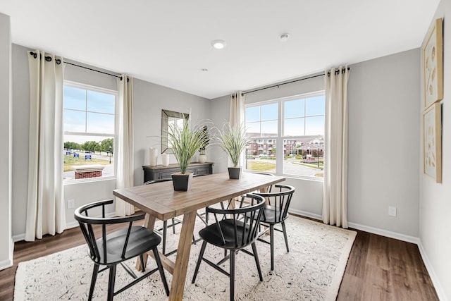 dining room featuring dark wood-type flooring