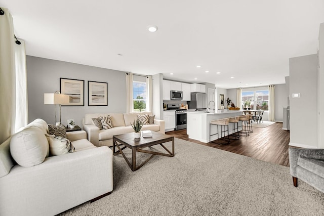 living room with sink and dark wood-type flooring