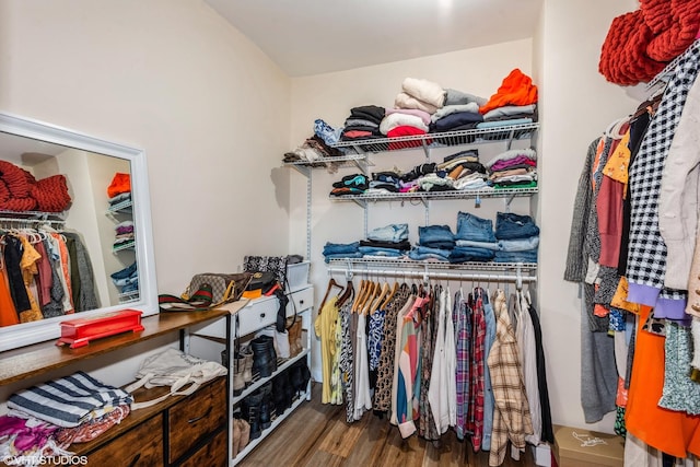 walk in closet with wood-type flooring