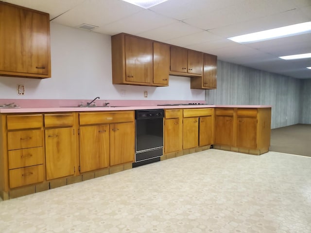 kitchen featuring sink, gas cooktop, black dishwasher, and a paneled ceiling