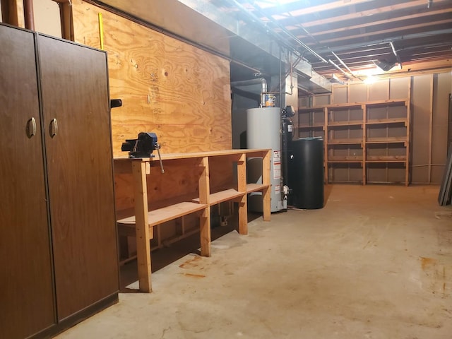 basement featuring gas water heater