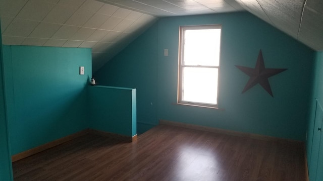 additional living space with vaulted ceiling, plenty of natural light, and wood finished floors