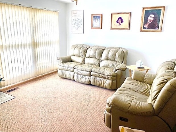 view of carpeted living room