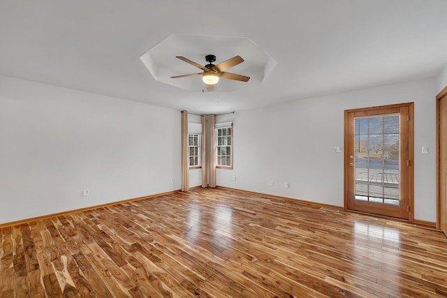 spare room featuring a raised ceiling, a healthy amount of sunlight, and light wood-type flooring