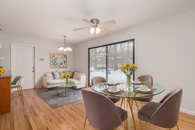 dining room featuring ceiling fan with notable chandelier and light hardwood / wood-style floors