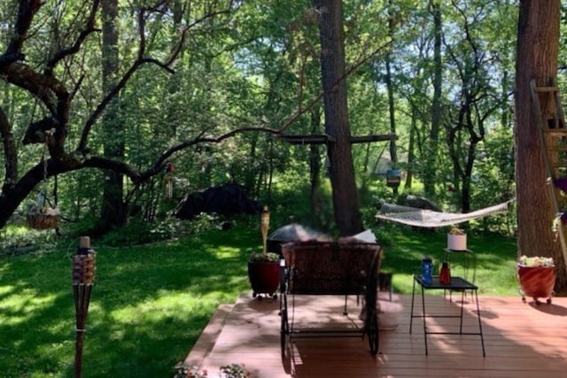 view of community with a yard and a deck