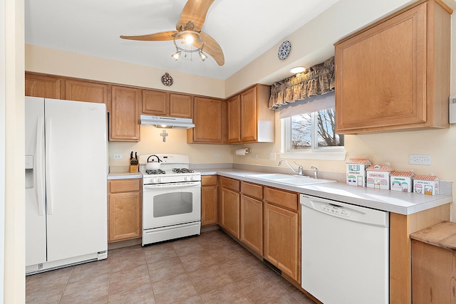 kitchen featuring sink, white appliances, and ceiling fan