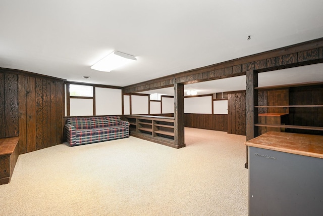 basement with carpet floors and wood walls