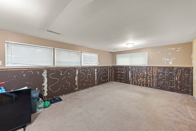 basement featuring carpet