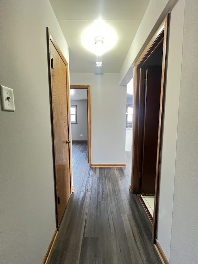 hallway featuring dark hardwood / wood-style flooring