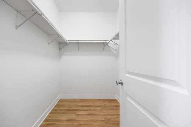 walk in closet with light hardwood / wood-style flooring