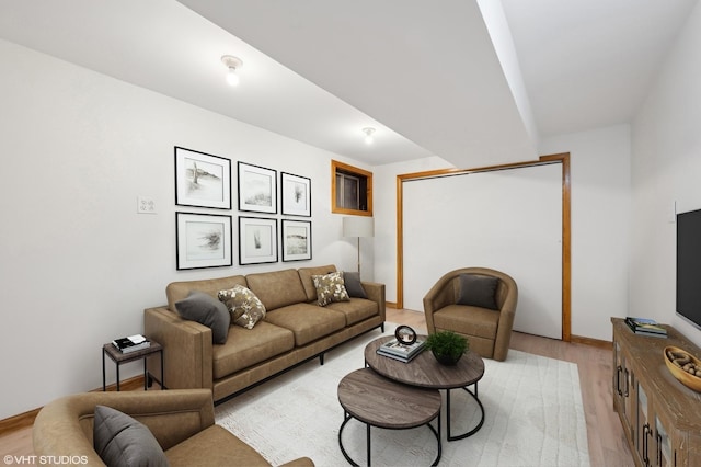 living room featuring light wood-type flooring