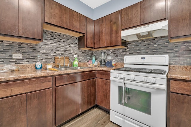 kitchen featuring sink, light hardwood / wood-style flooring, white gas range oven, tasteful backsplash, and dark brown cabinetry