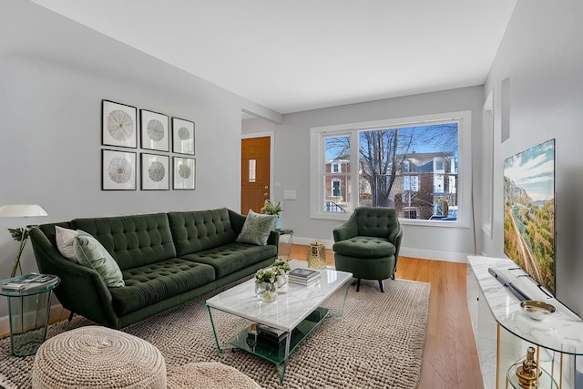 living room with light hardwood / wood-style flooring