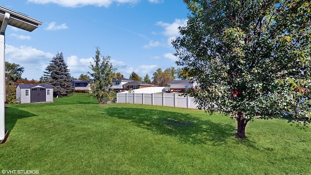 view of yard with a storage shed