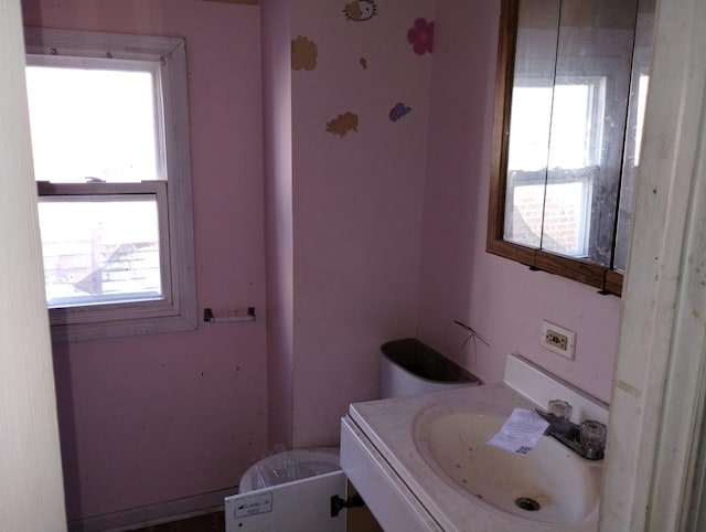 bathroom featuring plenty of natural light and vanity