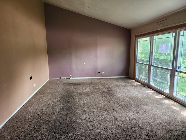 spare room featuring carpet floors