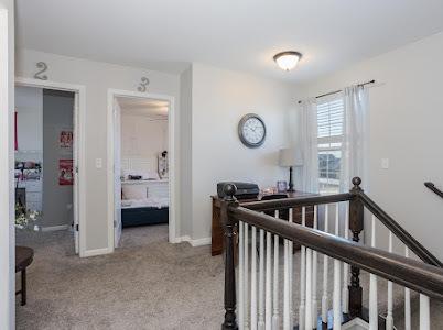 26011 S Old Farm Ct, Channahon, IL 60410 - hall featuring carpet floors, an upstairs landing, and baseboards