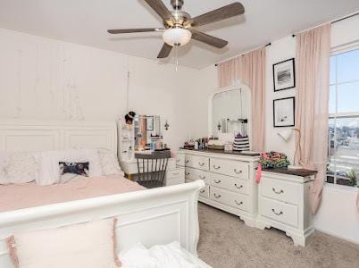 26011 S Old Farm Ct, Channahon, IL 60410 - bedroom with light carpet