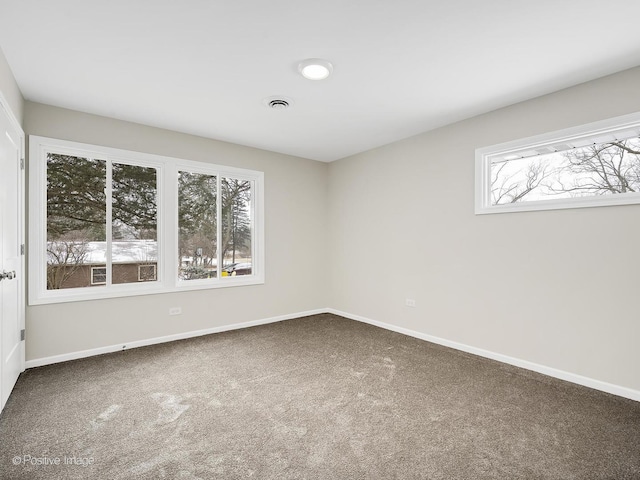 unfurnished room featuring carpet floors