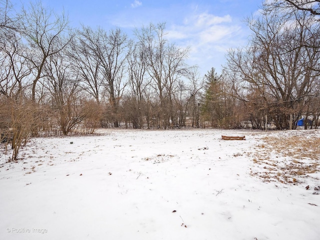 view of yard covered in snow