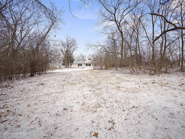 view of yard covered in snow