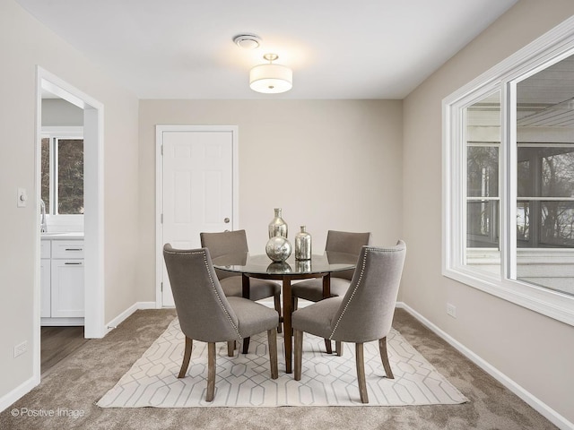 dining room featuring carpet