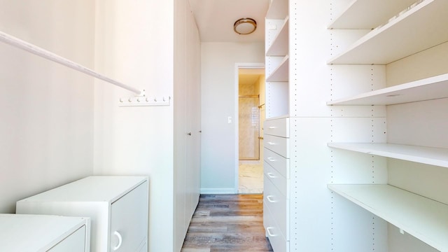 spacious closet featuring wood-type flooring