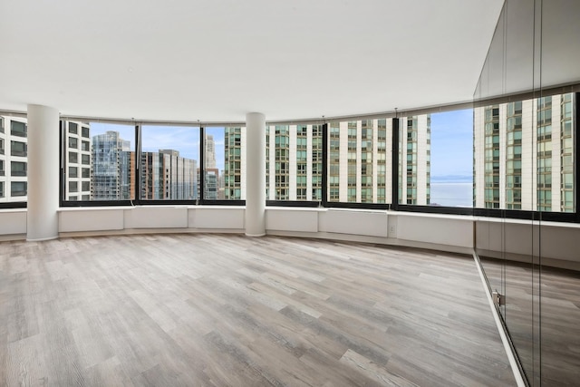 empty room with plenty of natural light and light wood-type flooring