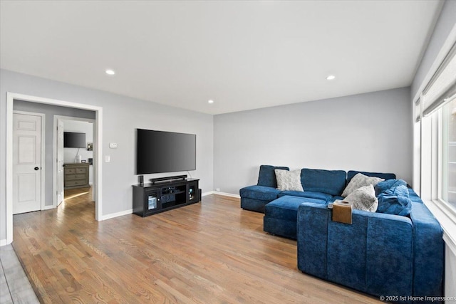 living room featuring wood-type flooring