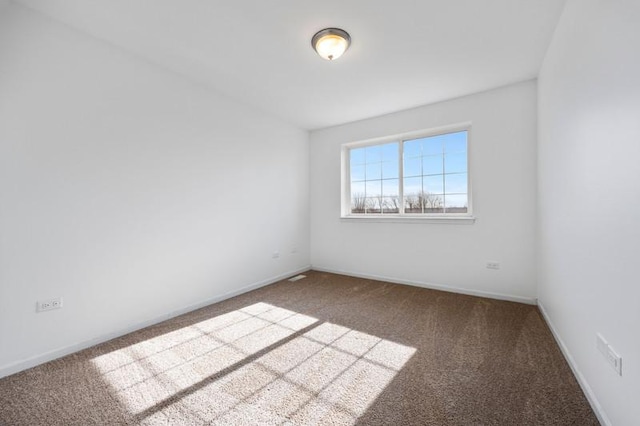 spare room with carpet floors