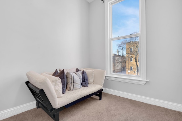 living area featuring carpet