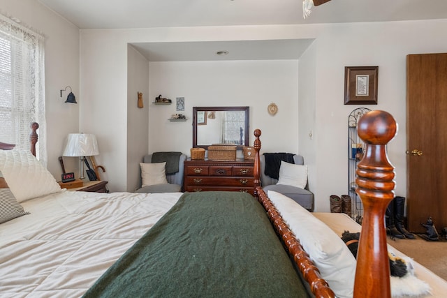 bedroom featuring multiple windows