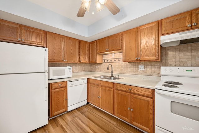 kitchen with sink, white appliances, light hardwood / wood-style flooring, ceiling fan, and backsplash