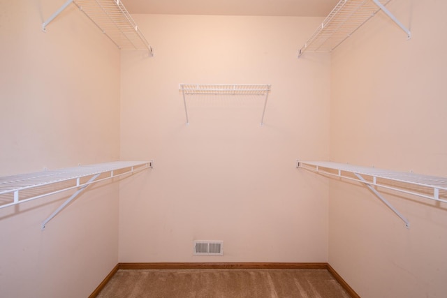 spacious closet with carpet flooring