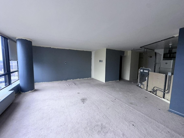 interior space with a baseboard radiator and carpet