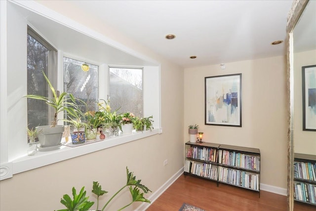 living area featuring dark hardwood / wood-style floors and a wealth of natural light