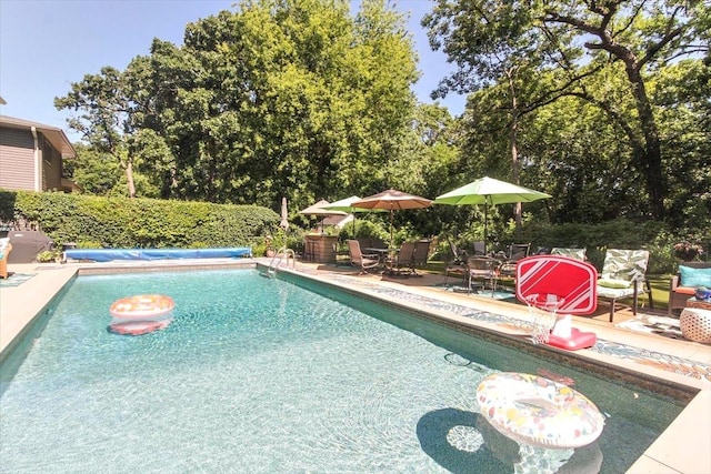 view of swimming pool