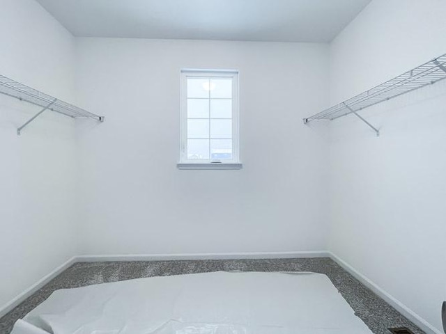 spacious closet featuring carpet floors