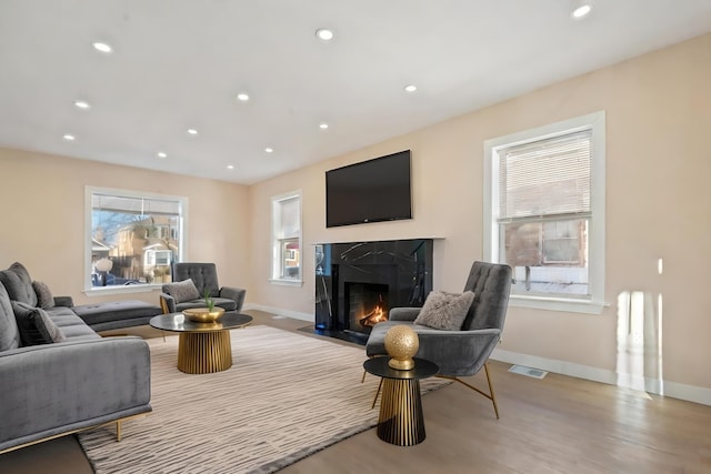 living room featuring a premium fireplace and light wood-type flooring