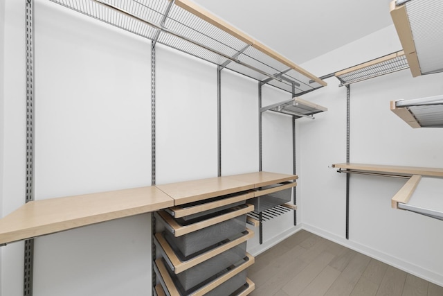 walk in closet featuring wood finished floors