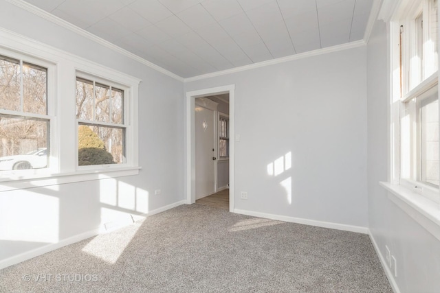 spare room featuring crown molding and carpet floors