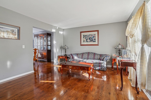 living room with hardwood / wood-style flooring