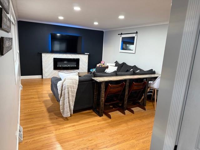 living room featuring light hardwood / wood-style floors