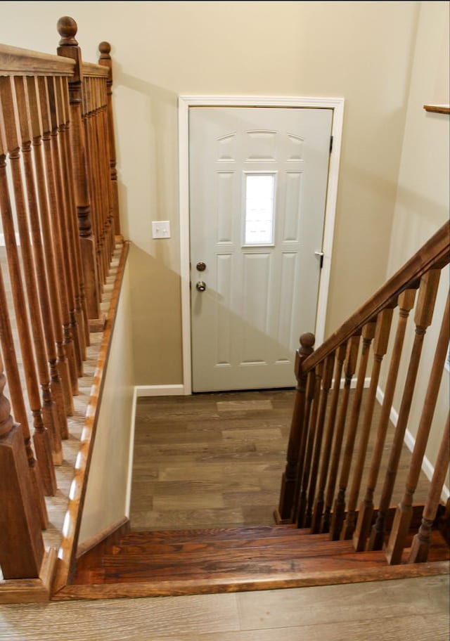 foyer entrance featuring wood-type flooring